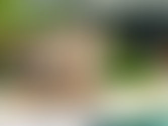 Stage d'automne à La Flèche