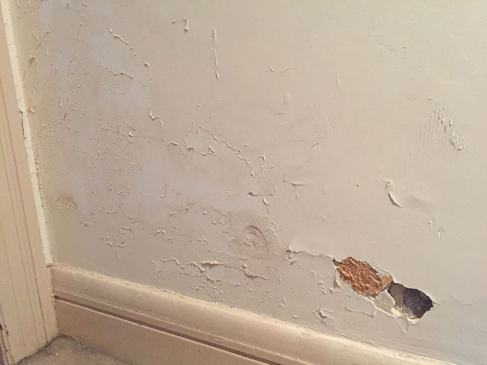 Rising damp damage