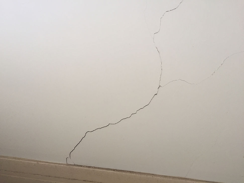 Lot 1 external wall