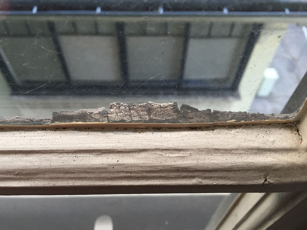 Putty delaminating
