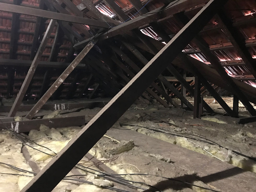 Insulated roof void