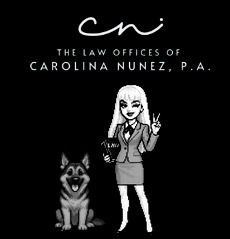 estate planning florida aviation lawyer aircraft inheritance FAA registration attorney Attorney Carolina Nunez | The Law Offices of Carolina Nunez