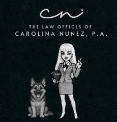 The Law Offices of Carolina Nunez, P.A. gaming and esports law logo