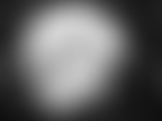 Pig butchering crypto scam investigation Florida — licensed private investigator Rambo Investigations documenting digital fraud evidence for civil recovery in Orlando and Central Florida