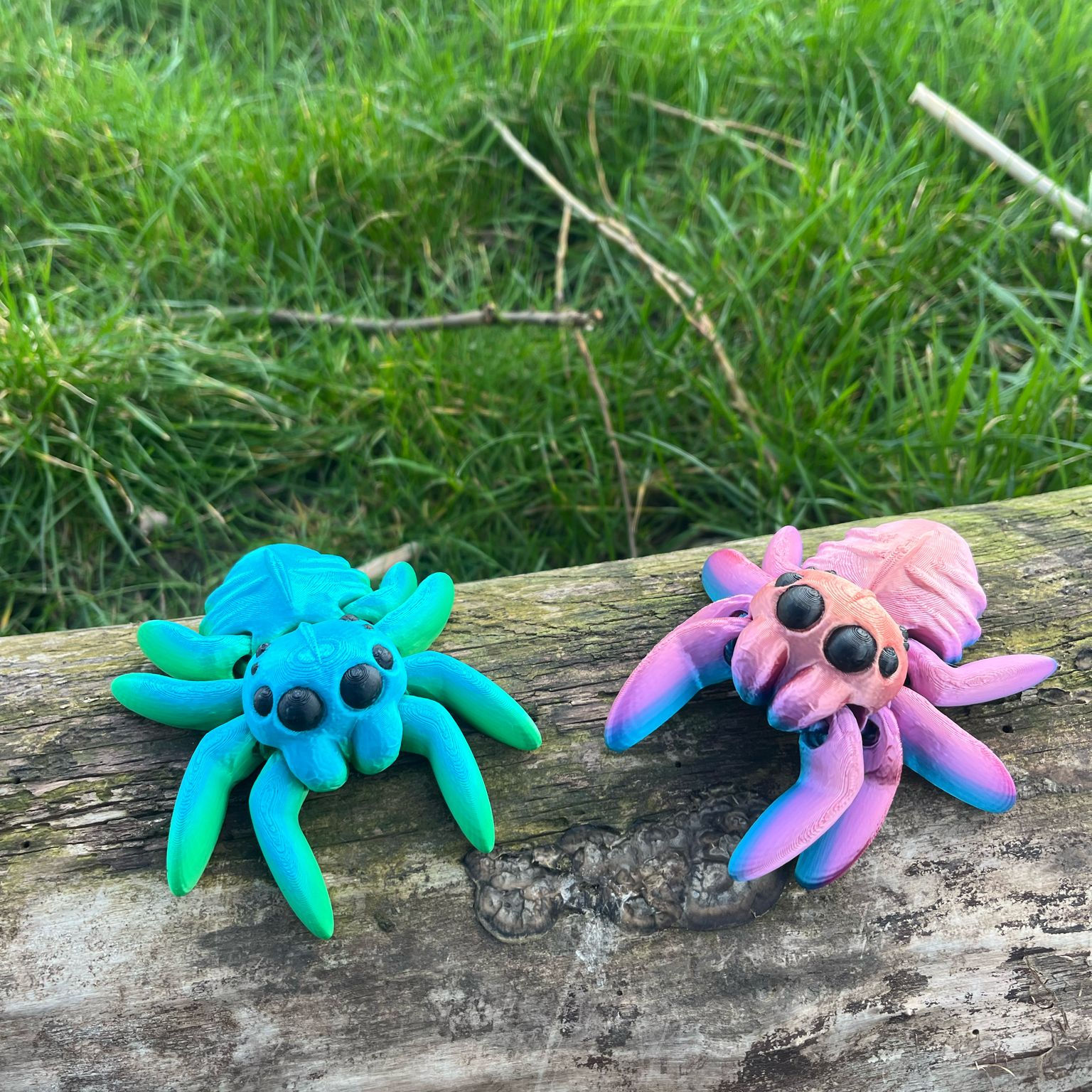3D Printed Spider