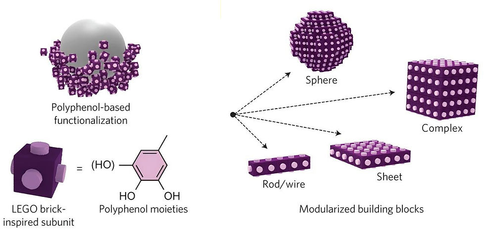 Graphical abstract for Modular assembly of superstructures from polyphenol-functionalized building blocks