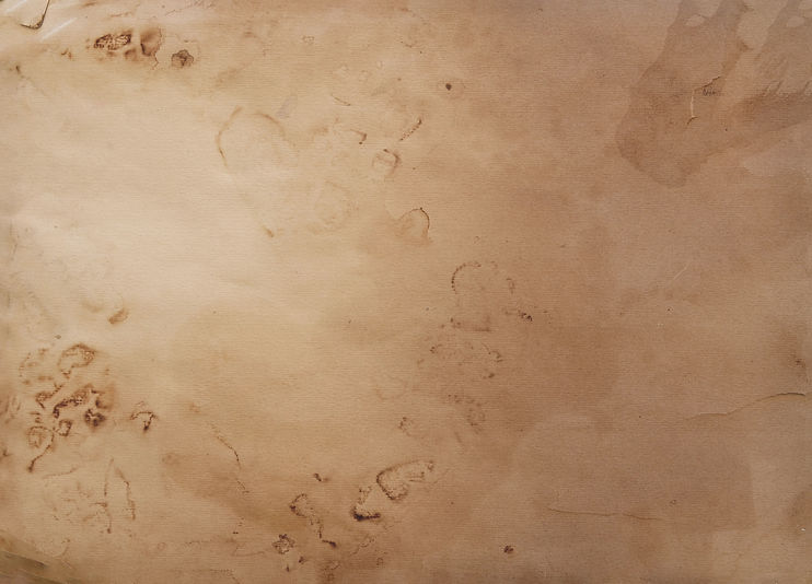 paper.jpg