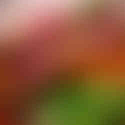 Kojak Average Cost ₹2400 approximately (for two) Timings Monday-Sunday 12.00 PM – 12.00 AM Kojak Contact Number +918433667602 Kojak Location 1st Floor, 5, Hotel Kings International, Juhu Tara Road, Juhu, Mumbai Comment Below👇 & Let Us Know Your Favourite Restaurant in Mumbai!