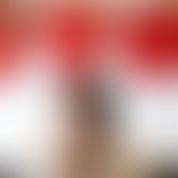 Ritesh Agarwal Net Worth