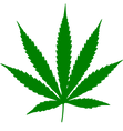 Cannabis_leaf.svg.png