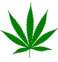 Cannabis_leaf.svg.png
