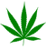 Cannabis_leaf.svg.png