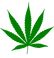 Cannabis_leaf.svg.png