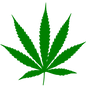 Cannabis_leaf.svg.png
