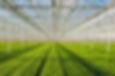 iStock-670157616.jpg