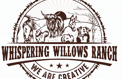 Facebook profile_edited_edited.jpg