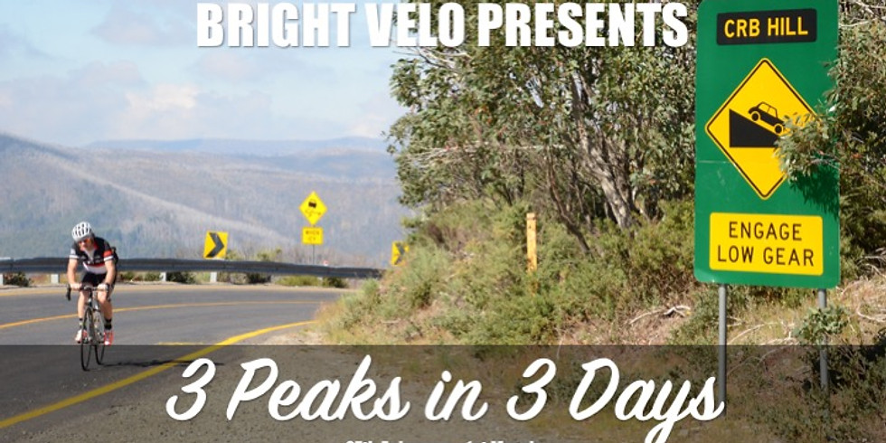 Bright Velo