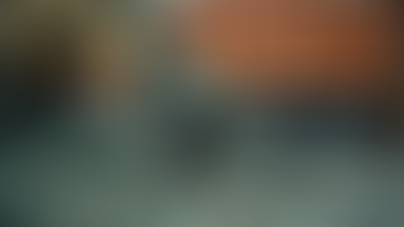 Efficient Auto Waste Recycling Services in Trinidad