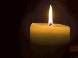 candle-3466_256.gif