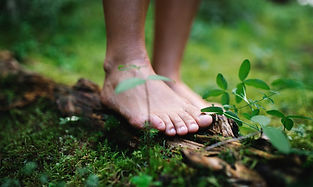 Leave a green footprint new.jpeg