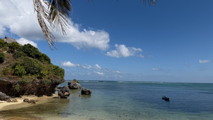 Days 71-79: Rote Island, Indonesia