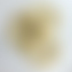 Taralli with Fennel & Peroni beer