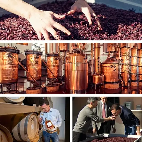 ヴィッラ・デ・ヴァルダ 醸造所風景(内部) Villa de Varda Distillery M Co.,Ltd