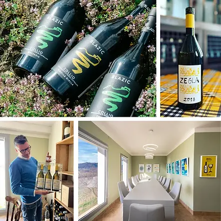 ブラジッチ ワイナリー風景(ゼグラ) Blazic Winery M Co.,Ltd