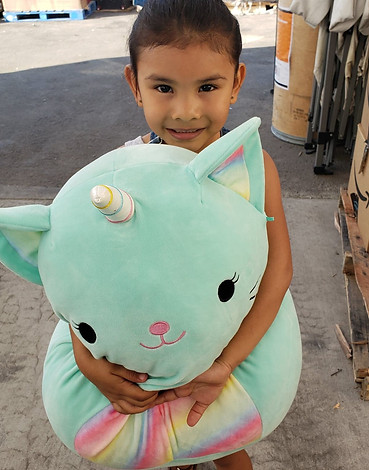 120878455_660320441544917_74251661406403