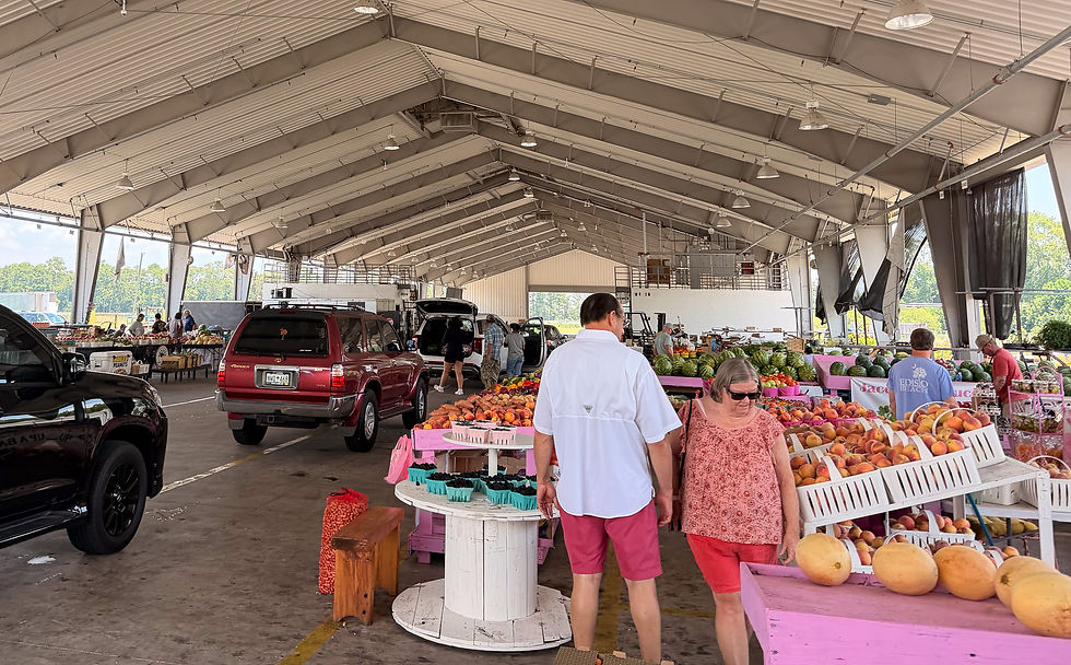 I bought some amazing peaches, tomatoes, and a melon