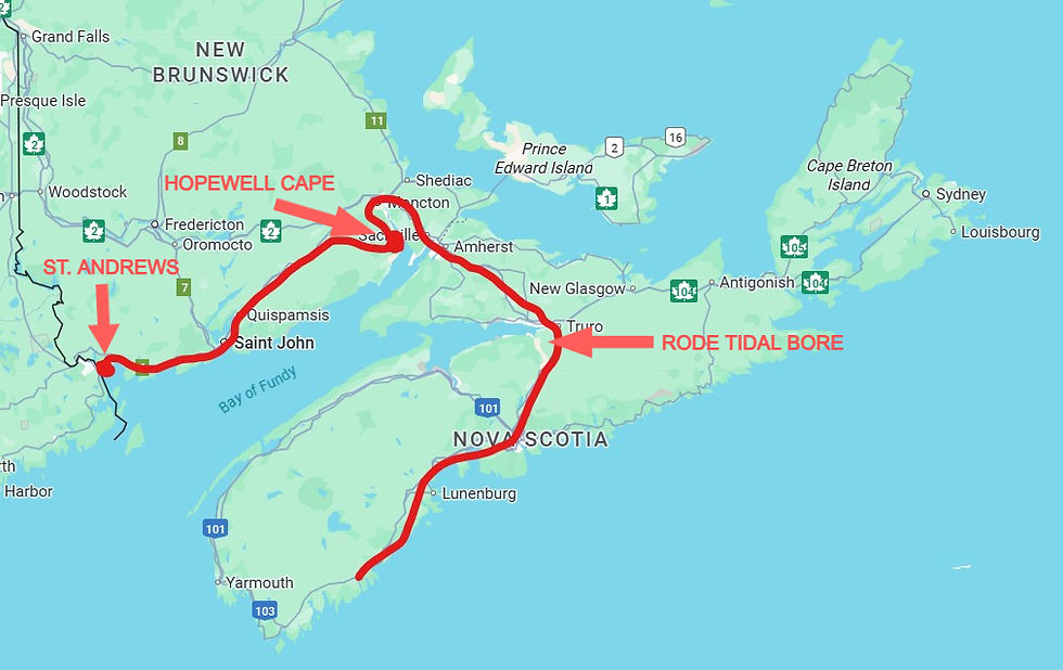 We left Nova Scotia and returned to New Brunswick