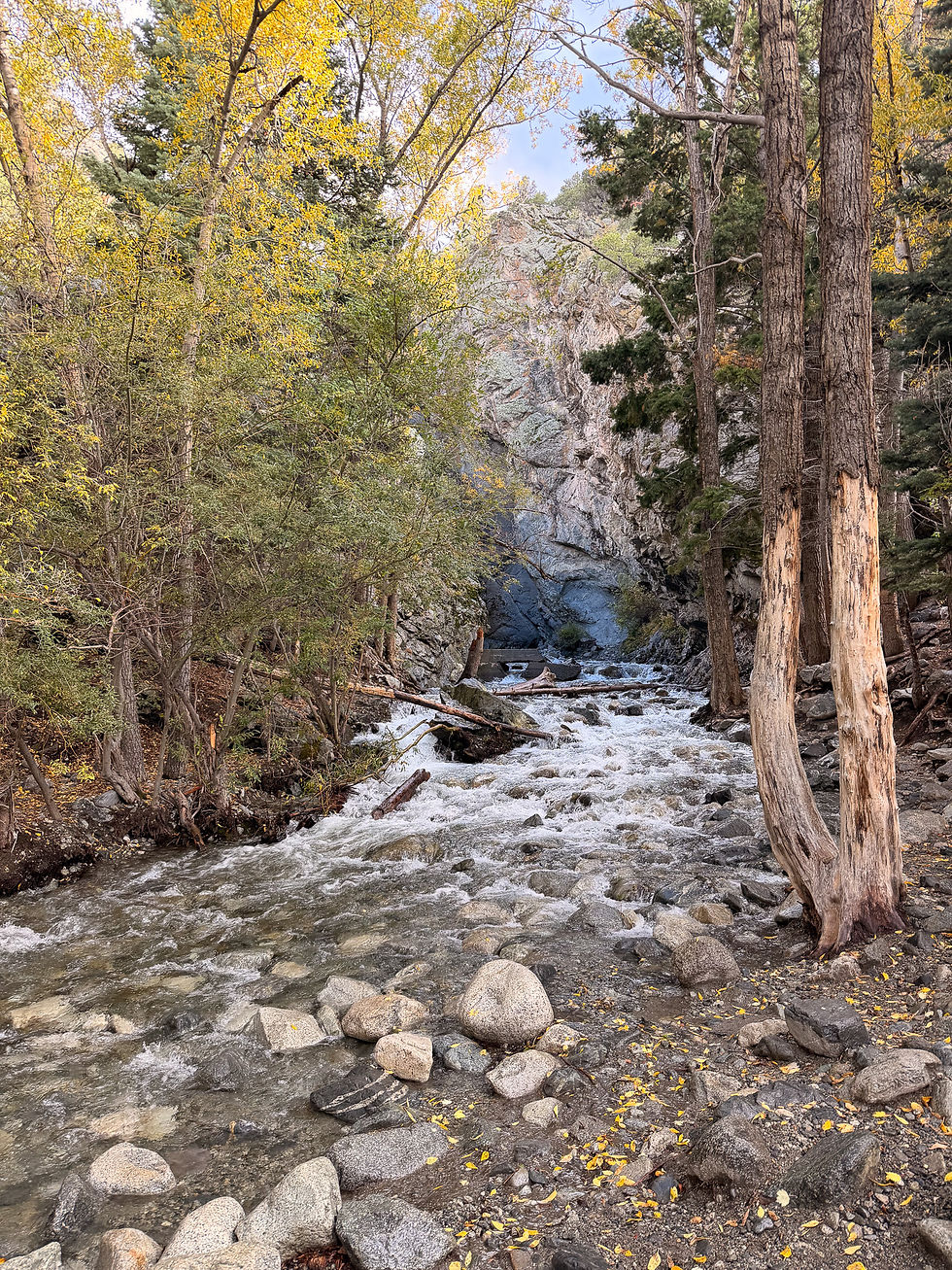 The falls were tucked behind the rocks and inaccessible (Pat tried!) but the raging stream was lovely to see and listen to.