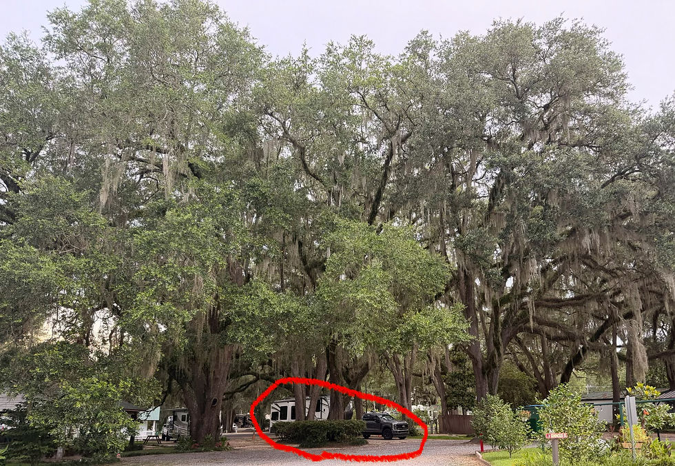 Florida