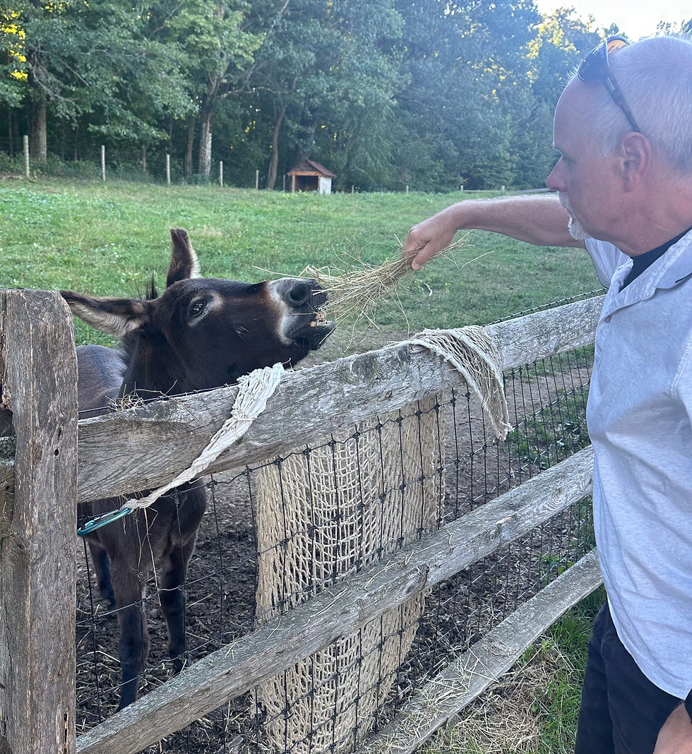 Pat making friends with this mini-donkey. They also had calves (that I pet), goats, sheep, dairy cows, pigs, horses, and rabbits. They make cheese and have an organic garden.