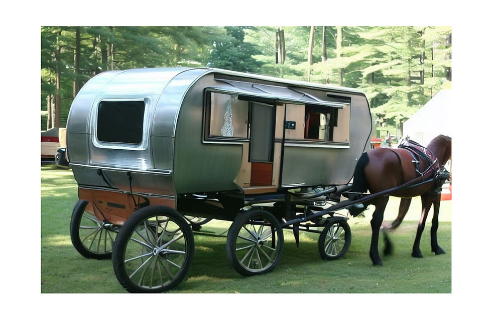 When we were discussing RV craftsmanship (or lack thereof!), we wondered if the Amish, known for quality construction, ever do RV work. When I googled "Amish-built RVs", this is what came up!!