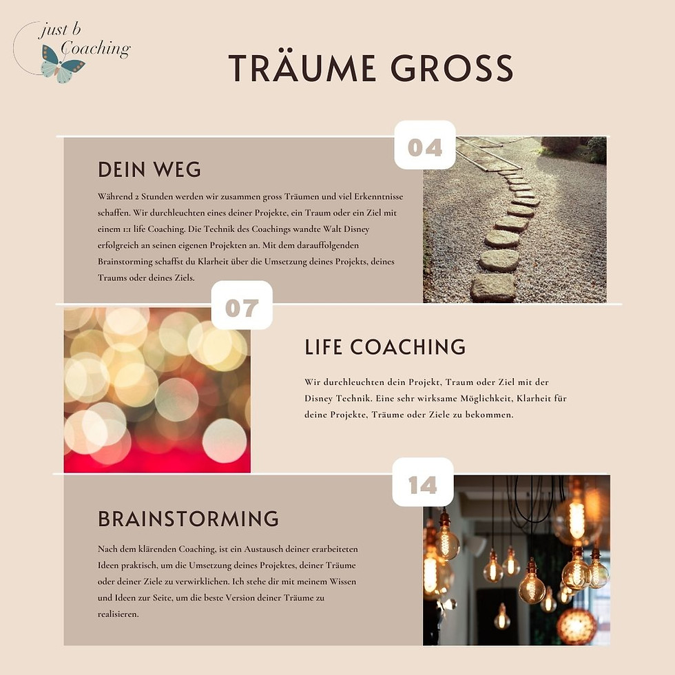 Miniaturbild: Coaching & Brainstorming mit Workbook - Träume Gross