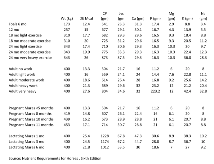 All about equine nutrition...