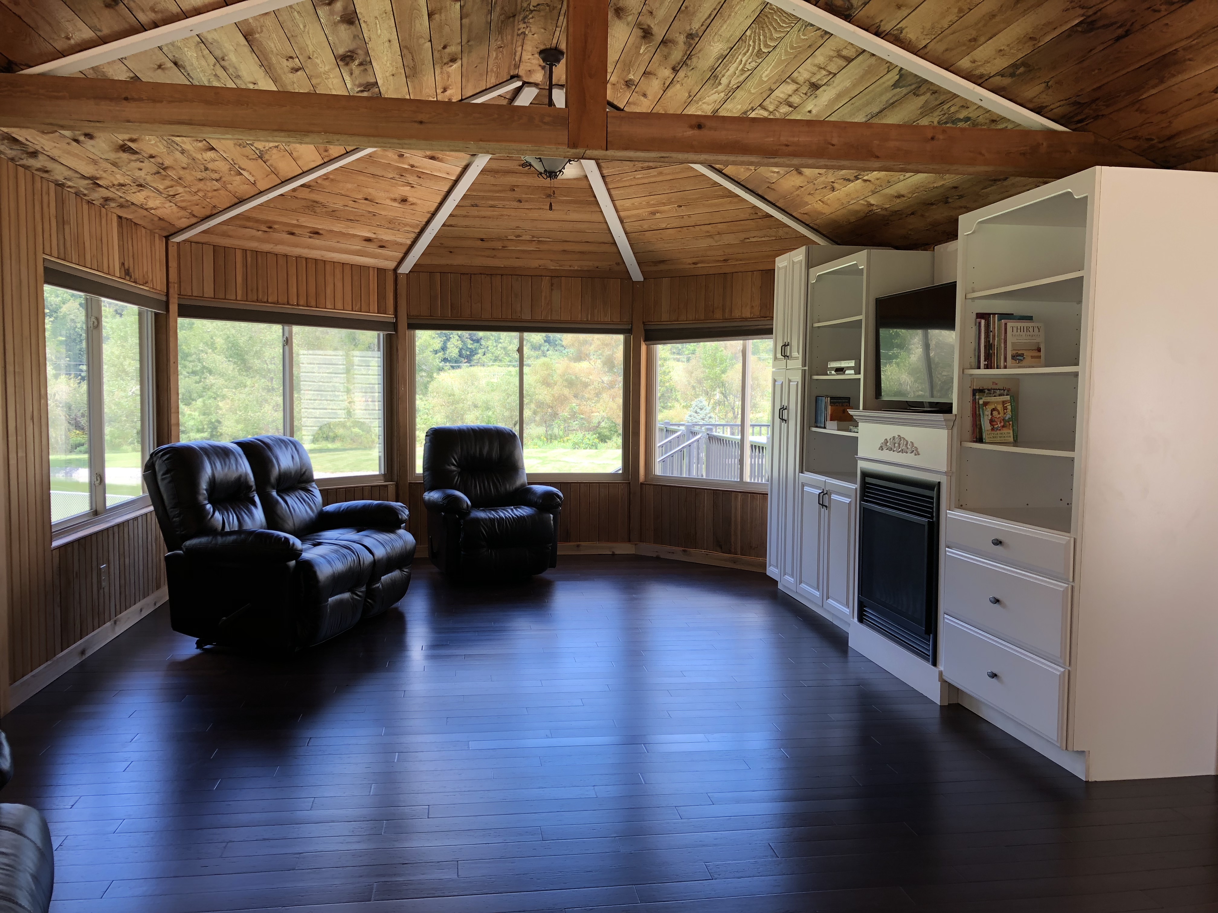 Sunroom w/ fireplace and DVD player