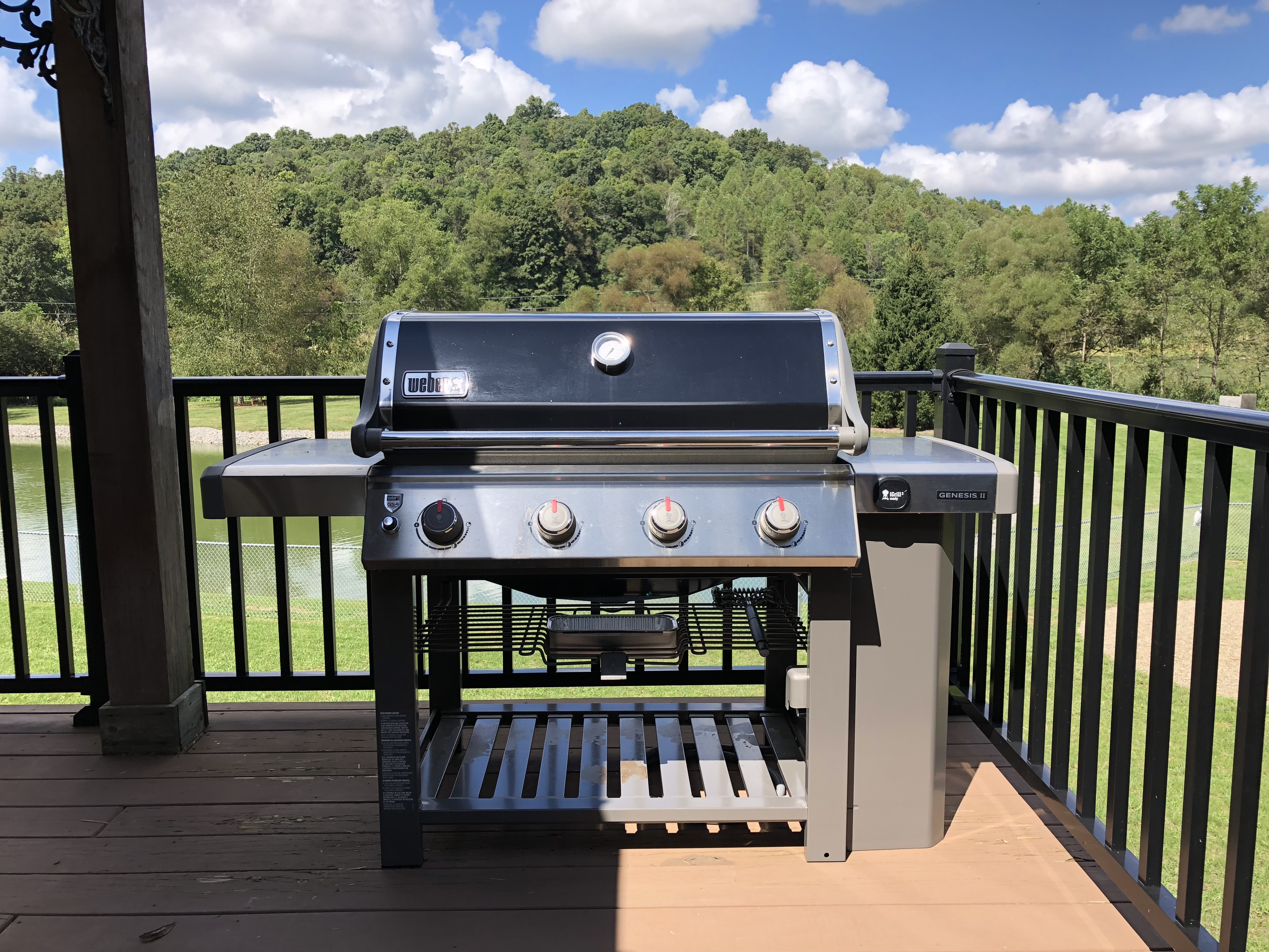 4-burner Weber gas grill