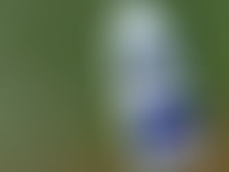 Choosing the Perfect Boat Suit for Different Types of Adventurers