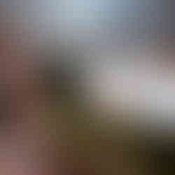 Fujifilm XF10 Review | Royal Caribbean Oasis of the Seas Cruise Ship