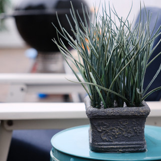 Photo Samples using the Sigma 18-50mm f/2.8 for Fujifilm