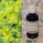 Flacon teinture mère Alchémille bio | Flacon Alcoolature Alchémille biologique | Essentiel Producteur