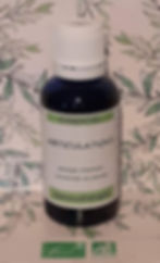 Flacon de gemmothérapie synergie Articulations biologique | Essentiel Producteur plantes médicinales bourgeons cassis figuier