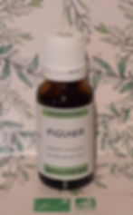 gemmothérapie biologique FIGUIER Extrait macérât mère concentré bourgeons Figuier (Ficus carira) PRODUCTEUR