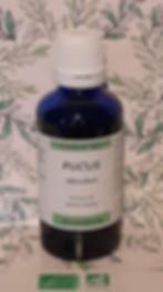 Flacon de teinture mère de Fucus bio | Flacon d' Alcoolature de Fucus vesiculosus biologique | Essentiel Producteur