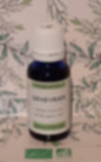 Extrait macérât mère concentré de bourgeons de Genévrier du Quercy(Juniperus communis) Gemmothérapie biologique PRODUCTEUR