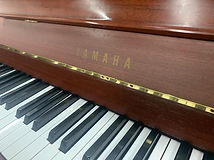 IMG-20190616-WA0196.jpg