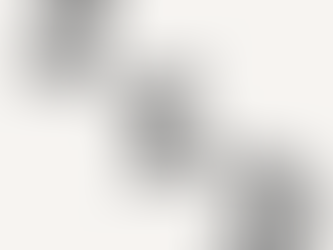 Pourquoi le zèbre est-il associé au sed ?