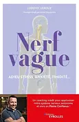 nerf vague.webp